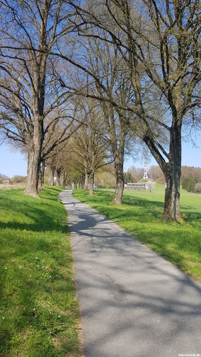 Hier fehlt noch das Bild